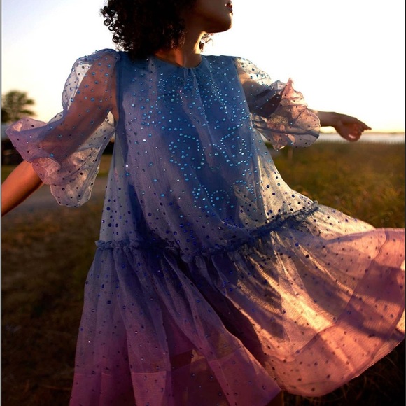 NWT Cynthia Rowley Rhinestone Tallulah Ombré Organza Maxi Dress Size Small - Picture 8 of 16